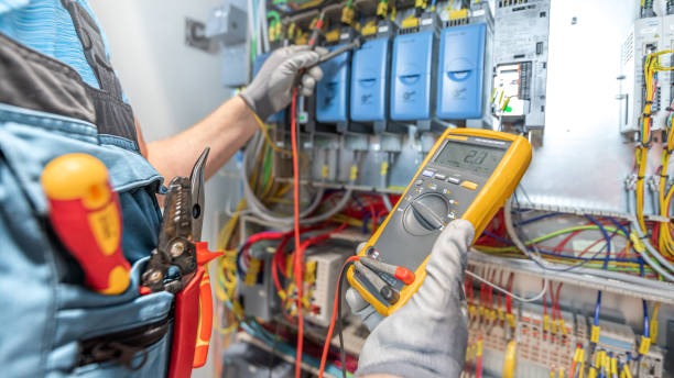 Best Electric Panel Repair  in Oakland, IA